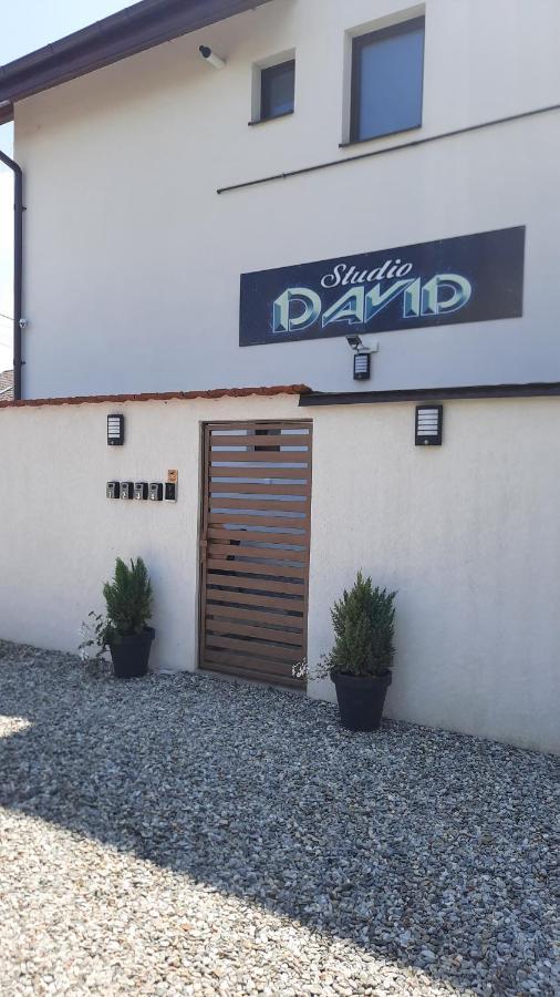 *Studio David* Hermannstadt Exterior foto